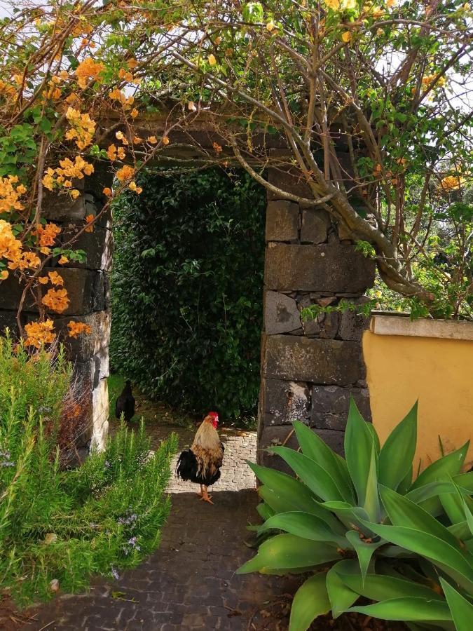 Casa Da Japoneira Hotel Horta  Buitenkant foto
